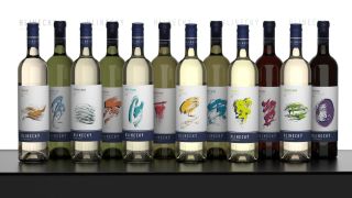 Všechna vína 2024 v nabídce na e-shopu 🕺🏽 #vinarstvihlinecky #vino2024